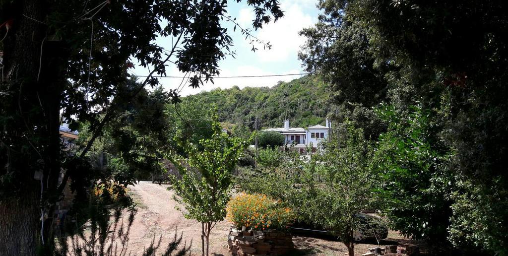 Apartments Spiros Pelion Kalamaki  Esterno foto