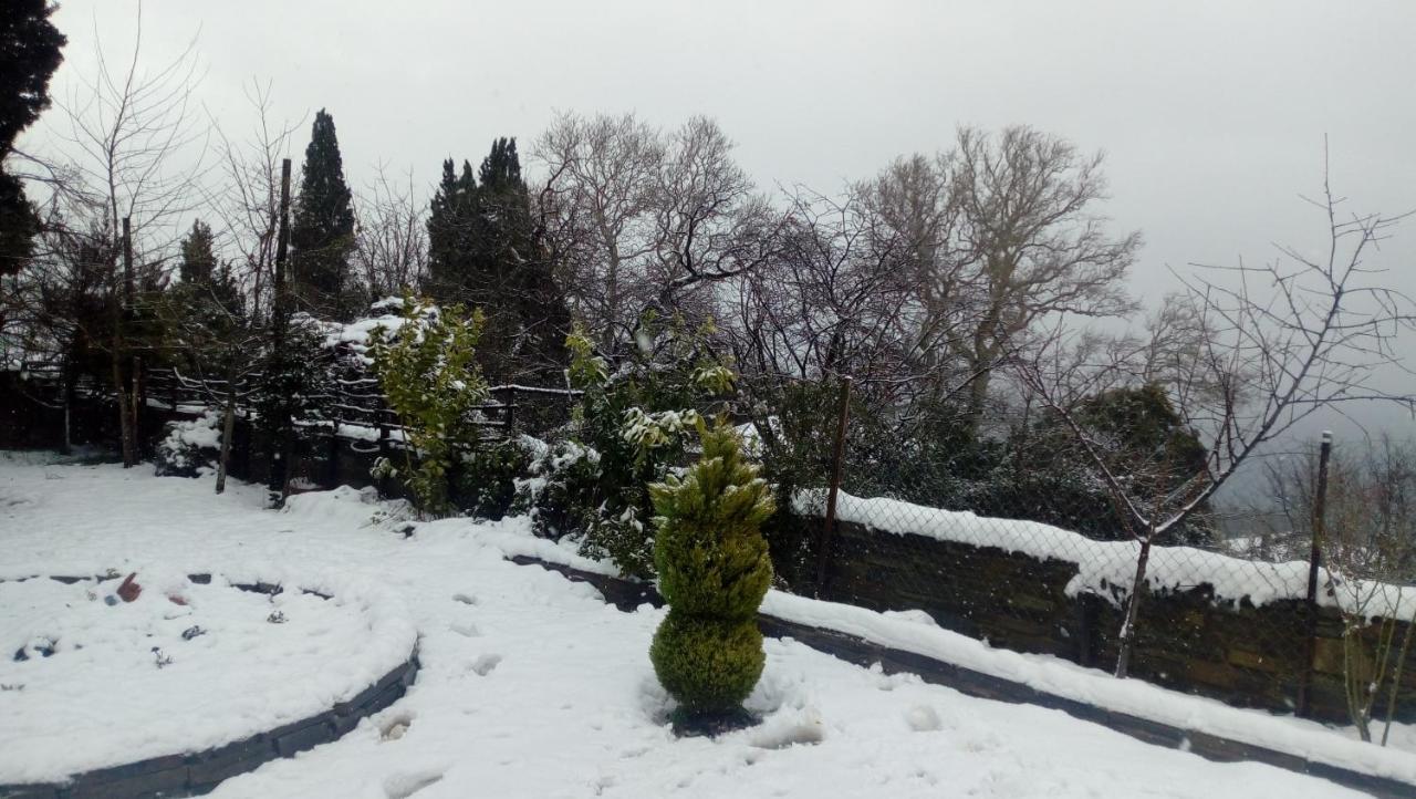 Apartments Spiros Pelion Kalamaki  Esterno foto